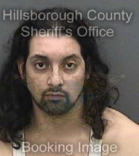 Rivera Alejandro - Hillsborough County, Florida 