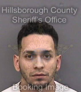 Pillot Andrew - Hillsborough County, Florida 