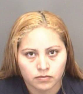 Hernandez Aurelia - Pinellas County, Florida 