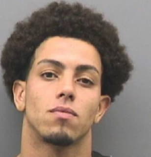 Albaladejo Carl - Hillsborough County, Florida 