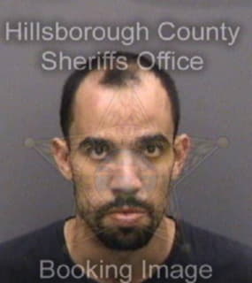 Santiago David - Hillsborough County, Florida 
