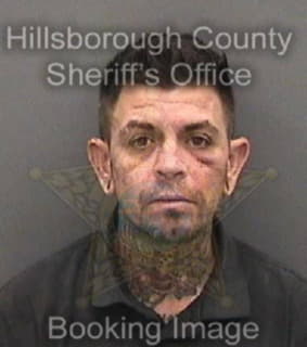 Perry David - Hillsborough County, Florida 