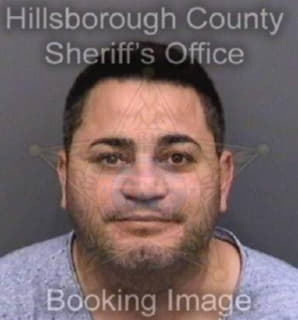 Perez Luis - Hillsborough County, Florida 