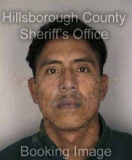 Cruzcastro Segundo - Hillsborough County, Florida 