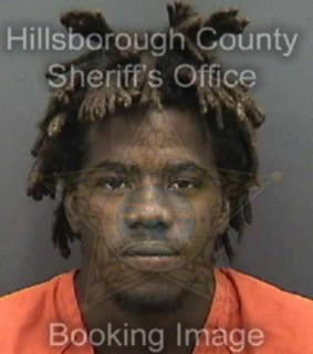 Robinson Tashawn - Hillsborough County, Florida 