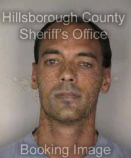 Linkous William - Hillsborough County, Florida 