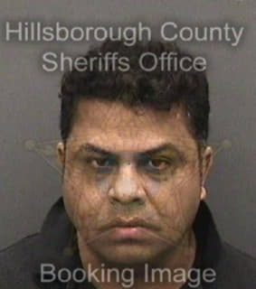 Ranjan Alok - Hillsborough County, Florida 