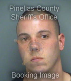 Bibaud Andrew - Pinellas County, Florida 