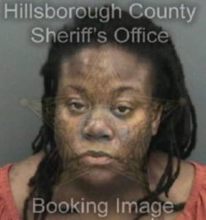 Carroll Brittany - Hillsborough County, Florida 