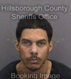 Matienzogalindez Carlos - Hillsborough County, Florida 