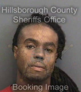 Mason Kristopher - Hillsborough County, Florida 