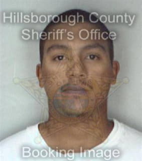 Diaz Oswaldo - Hillsborough County, Florida 