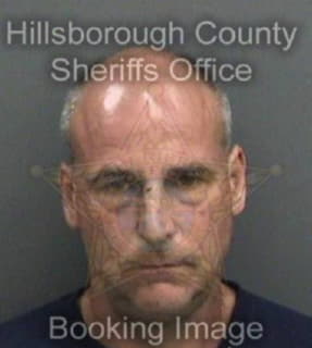 Auer Scott - Hillsborough County, Florida 