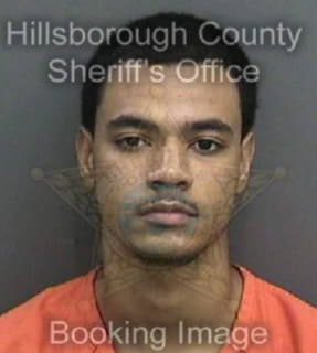 Mcnealy Christopher - Hillsborough County, Florida 