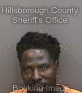 Mohamed Idris - Hillsborough County, Florida 