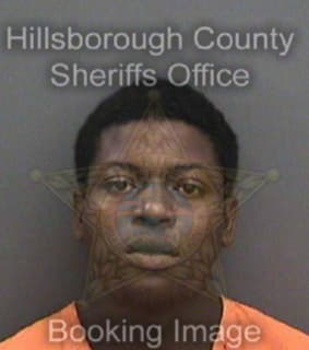 Johnson Michael - Hillsborough County, Florida 