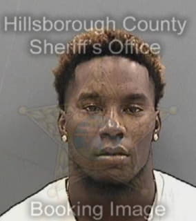 Wright Darryl - Hillsborough County, Florida 