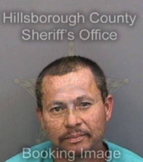 Barragan David - Hillsborough County, Florida 