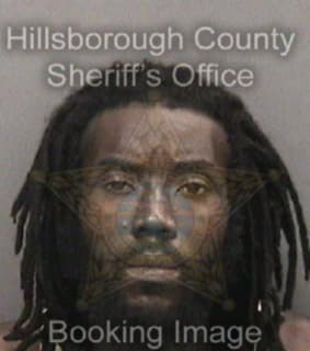 Davis David - Hillsborough County, Florida 