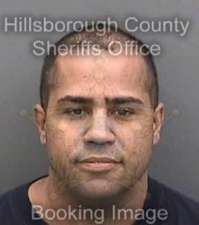 Rodriguez-Leon Norge - Hillsborough County, Florida 