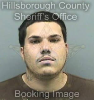 Bermudez Carlos - Hillsborough County, Florida 