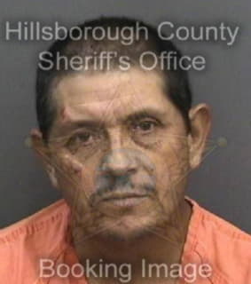 Lopezlopez Enrique - Hillsborough County, Florida 