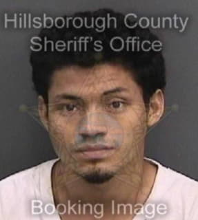 Reyesrojas Miguel - Hillsborough County, Florida 