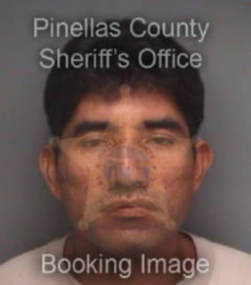 Meza Salvador - Pinellas County, Florida 