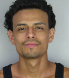 Diaz David - Hillsborough County, Florida 