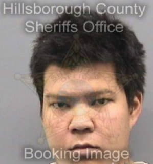 Nichols Michael - Hillsborough County, Florida 