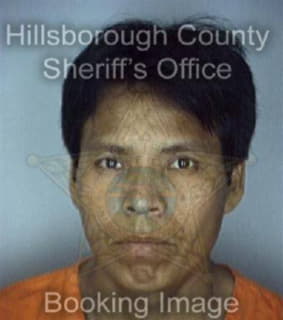 Lopez Santiago - Hillsborough County, Florida 