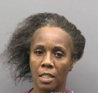 Mcclendon Diane - Hillsborough County, Florida 