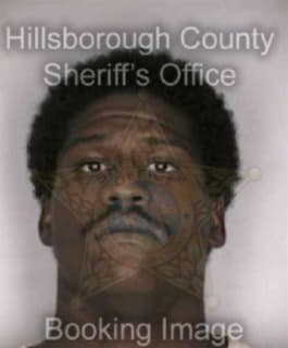 Johnson Emanuel - Hillsborough County, Florida 