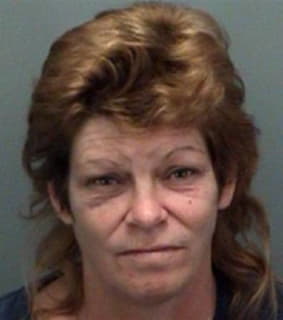 Mead Janet - Pinellas County, Florida 