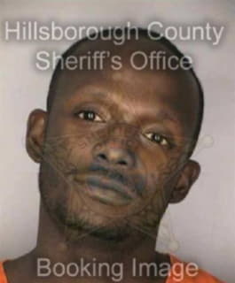 Johnson Larry - Hillsborough County, Florida 