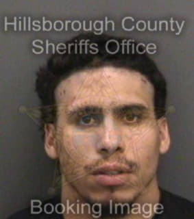 Rivera Jonathan - Hillsborough County, Florida 