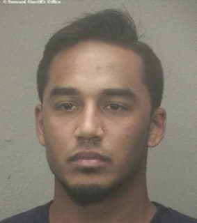 Delgado Kristian - Broward County, Florida 