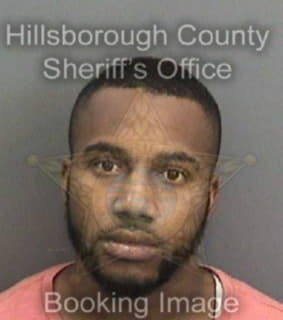 Wallace Michael - Hillsborough County, Florida 