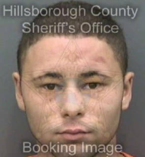 Benson Tyler - Hillsborough County, Florida 