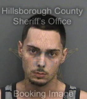 Martinez Alexander - Hillsborough County, Florida 