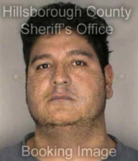 Delagarza Edgardo - Hillsborough County, Florida 