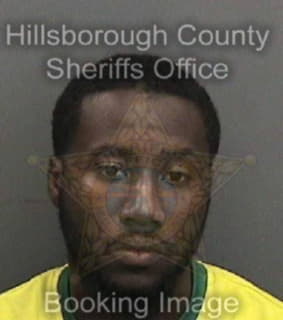 Henry Kelvin - Hillsborough County, Florida 