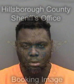 Mcmillon Mario - Hillsborough County, Florida 