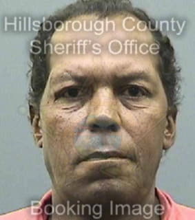 Ford Steven - Hillsborough County, Florida 