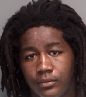 Mathias Darryl - Pinellas County, Florida 