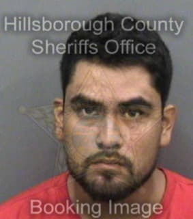 Castalanvillegas Jorge - Hillsborough County, Florida 