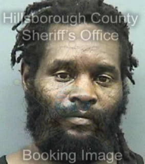 Nelson Limiuel - Hillsborough County, Florida 