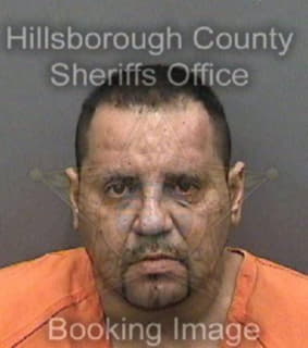 Melendez Luis - Hillsborough County, Florida 