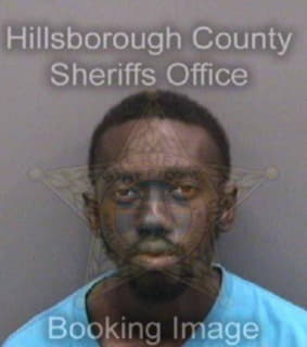 Mathis Christopher - Hillsborough County, Florida 