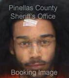 Dell Demetrius - Pinellas County, Florida 